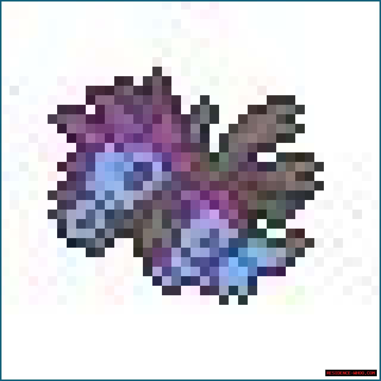 HTML