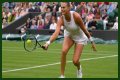 Wimbledon 2021: Aryna Sabalenka vs Karolina Pliskova Preview, Head to Head and Prediction
